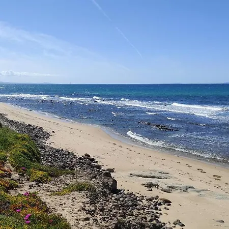 Welcomely - Near The Sea -